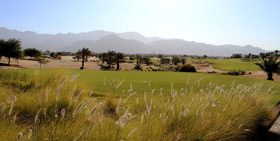 Ayla beherbergt den einzigen 18-Loch-Meisterschafts-Golfplatz Jordaniens