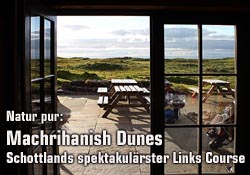 Banner Blick aus dem Clubhaus