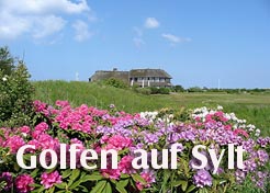 Banner Golfen auf Sylt