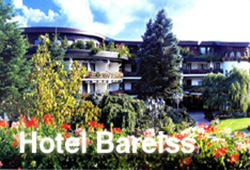 Banner Hotel Bareiss