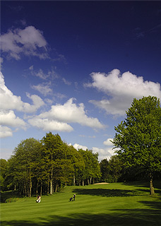 Golfplatz2