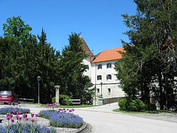 GCl Schloss Mokrice