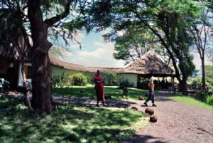 b/safari-camp-masai