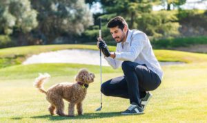 Leitfaden für die Mitnahme Ihres Hundes auf einen Golfplatz
