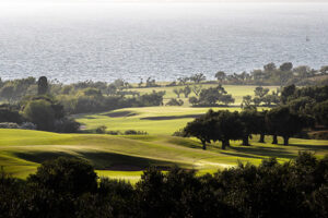 The-Bay-Course_Nr_9