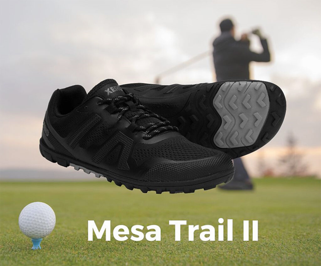 mesa trail