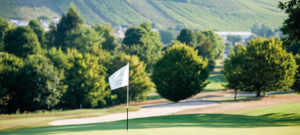 weinberge-natur-golf
